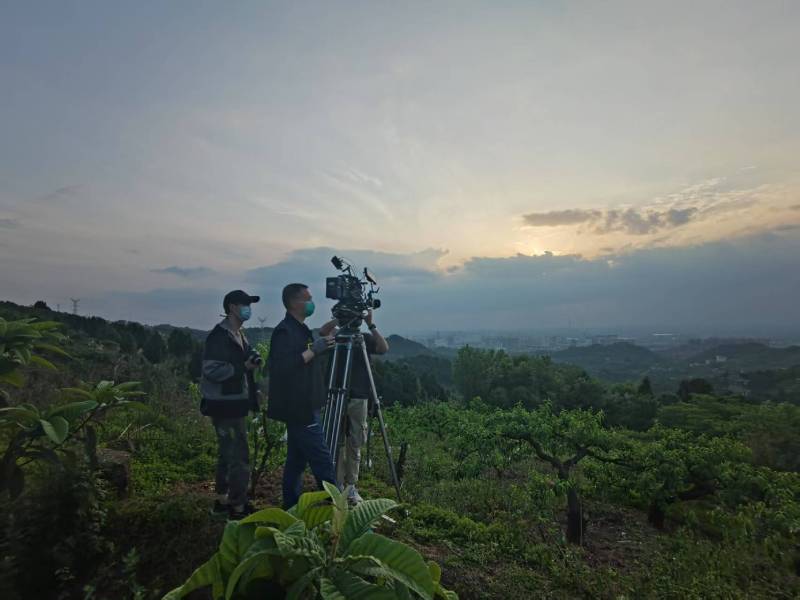 创意破圈！永清县电商产品宣传视频用故事化叙事引爆流量