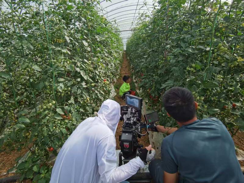 永清县产品宣传视频拍摄公司进阶指南，助力品牌抢占传播高地